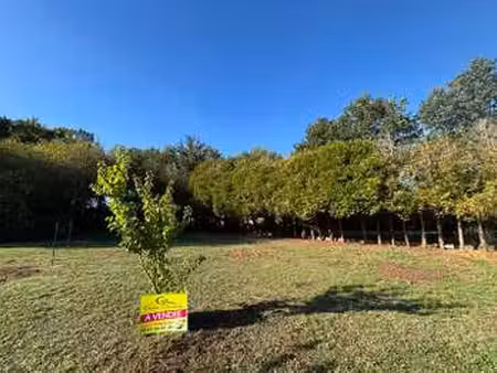 vente terrain à soullans (85300) : à vendre / 1008m² soullans