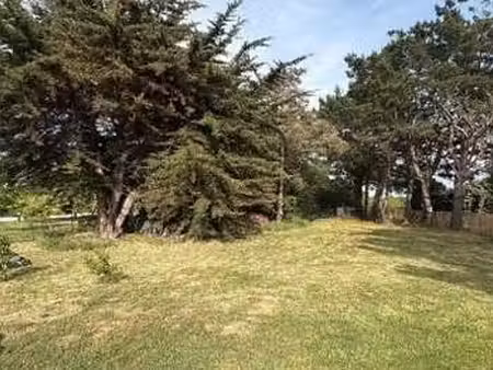 vente terrain à saint-armel (56450) : à vendre / 805m² saint-armel
