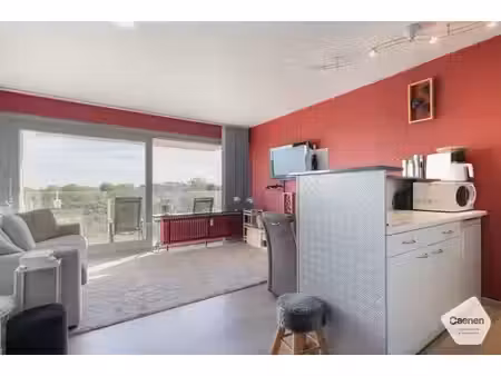 verzorgde  zuid-gerichte studio met zicht op de simliduinen