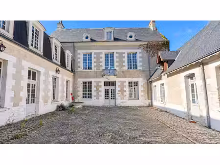 vente maison 13 pièces  425.00m²  romorantin
