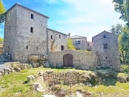 mas en pierre 300 m2 hab 8 ha de terrain  sud ardèche