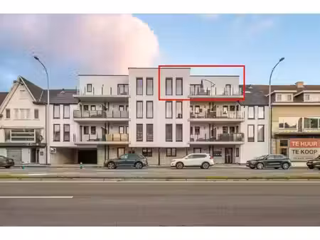 makelaars voor woning en bedrijf
