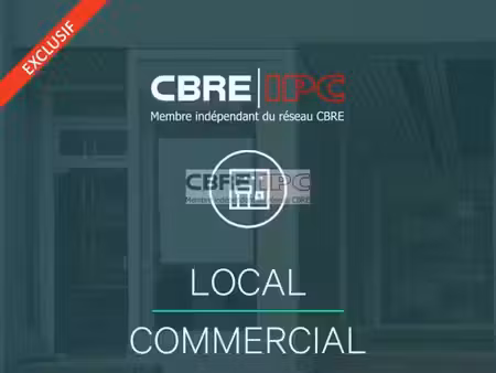 vente commerce pau 85 m²