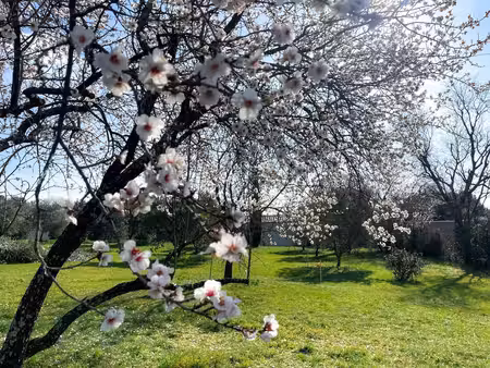 achat terrain 4 650m² uzes 30700