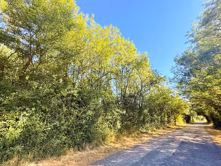 terrain de loisirs 0 pièces 7830 m² à vendre / acheter roches-prémarie-andillé 86340 ? | e