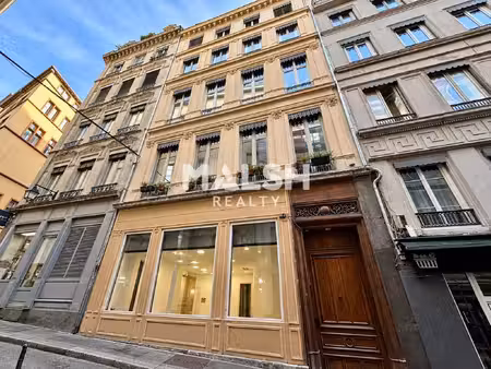 location local professionnel 87m² lyon 1er