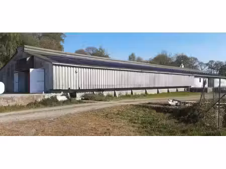 bâtiment agricole de stockage surélevé  avec quai de chargement