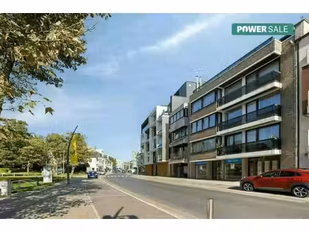 commercieel te koop in de panne