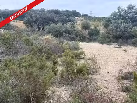 vente terrain 10160 m² à belesta (66720)  17 000 €