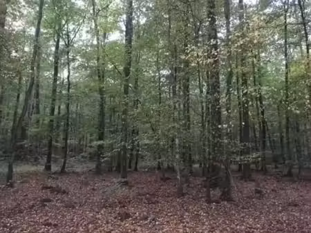 vente terrain 81294 m² à auneau (28700)  45 000 €