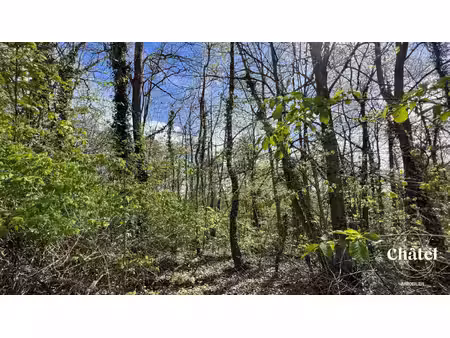 terrain de loisirs de près de 2 hectares boisé à gouvieux