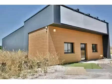 local professionnel à vendre montrejeau 2 pièce(s) 250m2 250 000€
