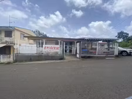 achat immeuble 220m² le robert 97231