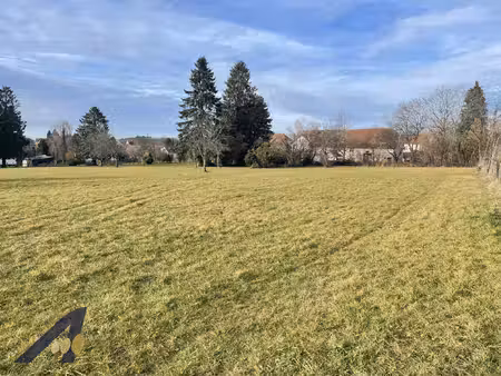 terrain en impasse au calme