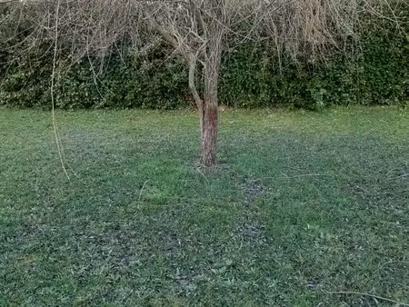 terrain viabilisé 1300 m2