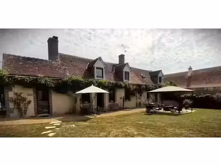 vente maison 7 pièces 195 m² à monthodon (37110)  348 800 €