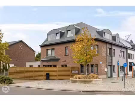 appartement te koop in berlaar met 9 slaapkamers