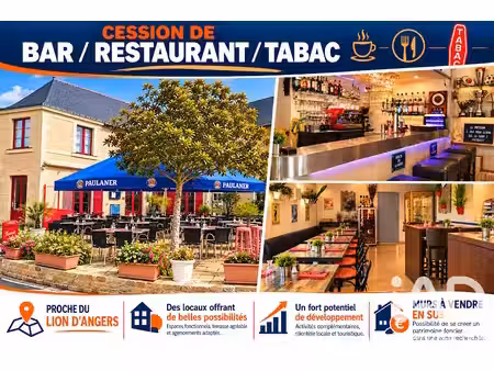 vente locaux professionnels 0 pièces 110 m² à chenillé-changé (49220)  79 776 €