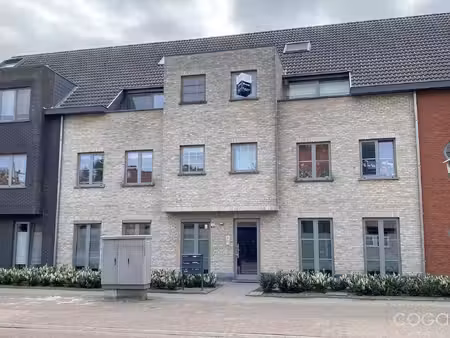 appartement te huur in wuustwezel met 1 slaapkamer