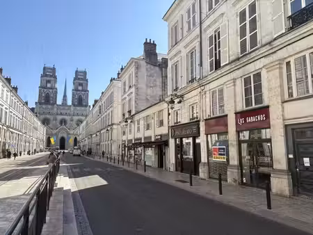 location commerce orleans 45000 105m²