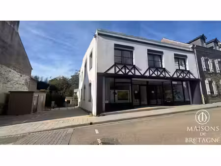 vente immeuble 9 pièces