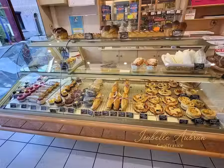 vente locaux professionnels 9 pièces 395 m² à villard-bonnot (38190)  168 000 €