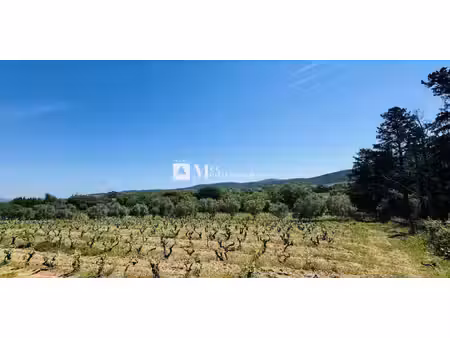 château saint-tropez (83)