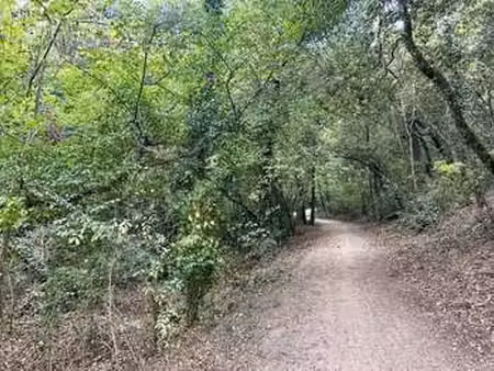 vente terrain aux sables-d'olonne (85100) : à vendre / les sables-d'olonne
