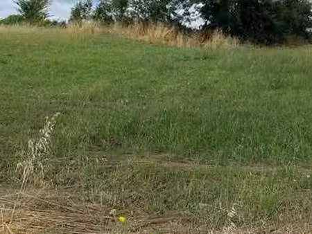 vente terrain à saint-michel-le-cloucq (85200) : à vendre / saint-michel-le-cloucq