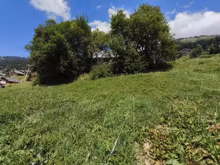 vente terrain
