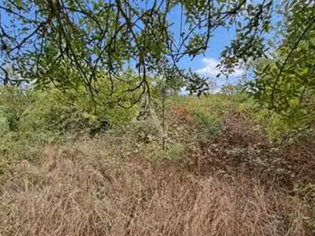 vente terrain à villevêque (49140) : à vendre / 4460m² villevêque