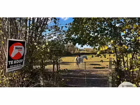 prairie à vendre à buggenhout pour € 30.190