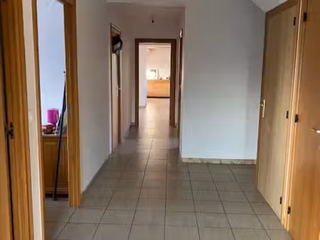 appartement lumineux