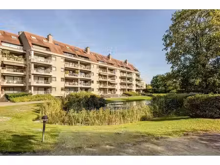 nachtegalenhof | superbe penthouse
