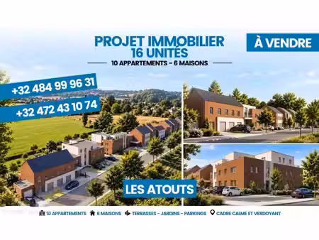 immeuble mixte à vendre   aiseau-presles (vbe80376)