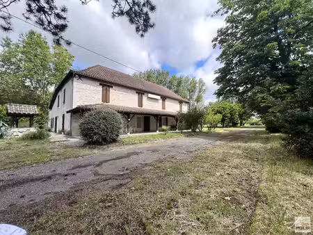maison pierre avec jardin - 47140 trentels