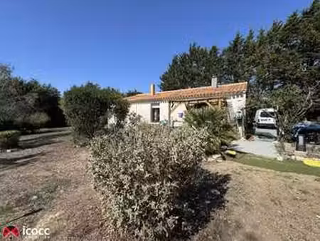 vente maison à chaillé-les-marais (85450) : à vendre / 110m² chaillé-les-marais