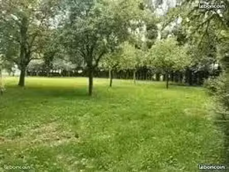 terrain animaux