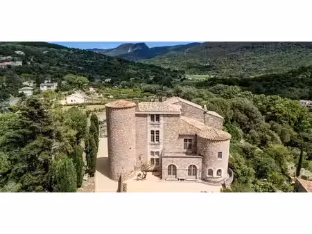 maison avec piscine et jardin soubès (34)