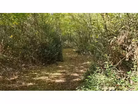 terrain à vendre