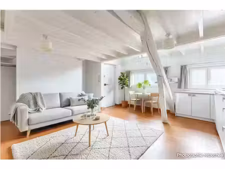 appartement paris ier
