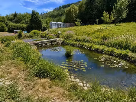 maison t5 à vendre 5 pièces banlieue epinal (88) avec piscine  garage  mare sur 2600 m2 te