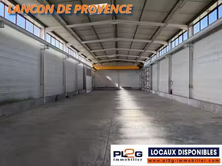 local d'activités à louer