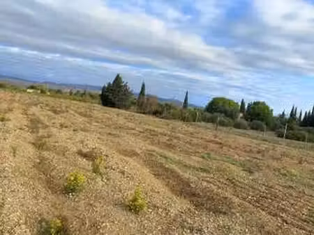 vente terrain à salses-le-château (66600) : à vendre / 3990m² salses-le-château