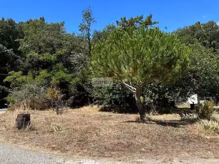 terrain constructible neuf à vendre