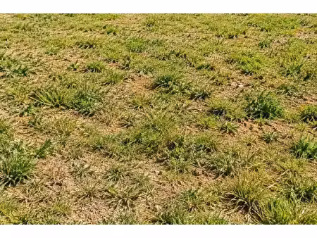terrain constructible neuf à vendre