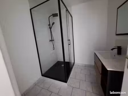 grand appartement 3 pièces refait à neuf tout équipé