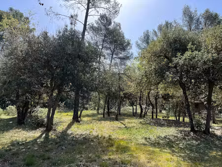 terrain constructible neuf à vendre