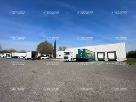 entrepôt à louer