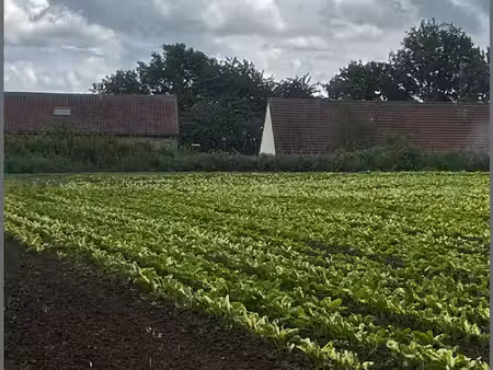 terrain constructible à la campagne